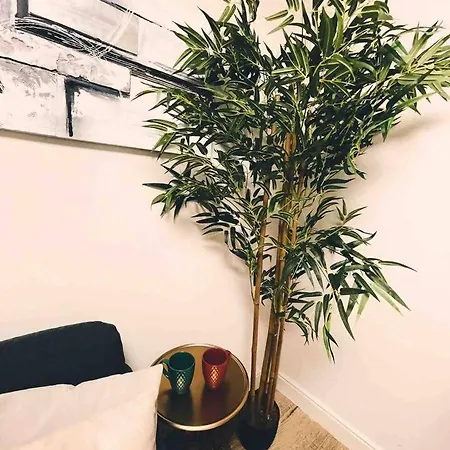 Appartement Chiado Brand New Amazing In *